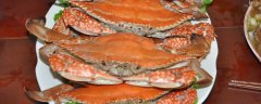 清蒸大螃蟹技巧，清蒸螃蟹的做法