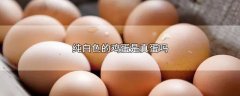 纯白色的鸡蛋是真蛋吗，辨别真假鸡蛋的方法
