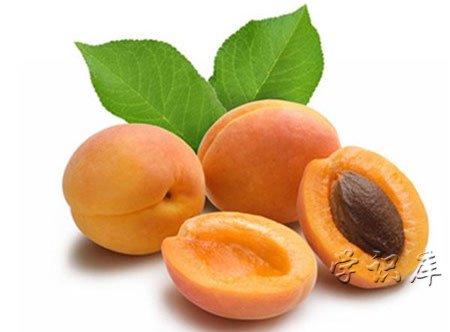 杏子的功效和作用，吃杏子的7个好处
