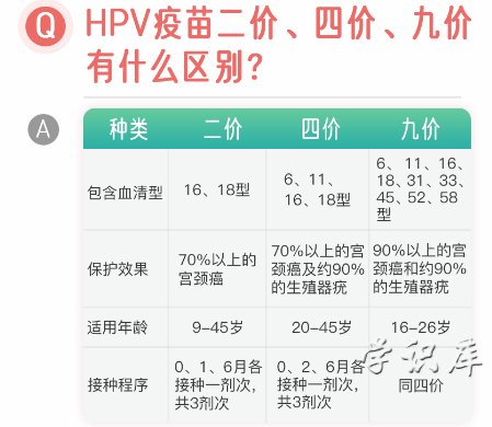 hpv疫苗二价四价九价区别