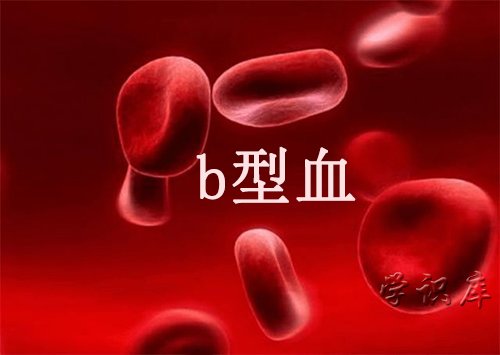 b型血为什么叫贵族血，b型血的人所含特点