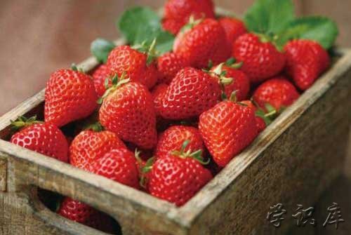 草莓的功效与作用及营养价值