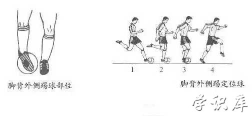 足球踢球动作的要领，零基础踢足球教程