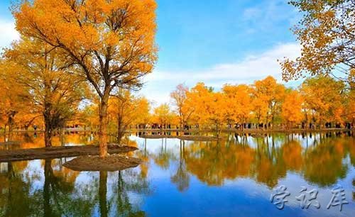 国内秋天最美的五大景点，5个适合秋季旅游的美