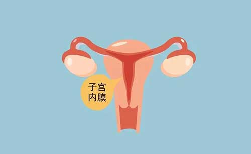 宫内膜厚怎么治疗，常见的三种治疗方法