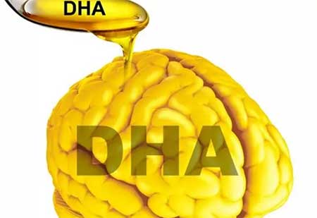 dha可以提高记忆力吗，4个DHA对大脑记忆力的作用
